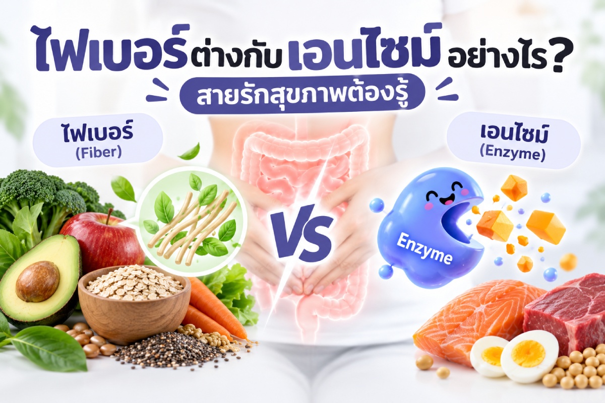 ไฟเบอร์ต่างกับเอนไซม์อย่างไร