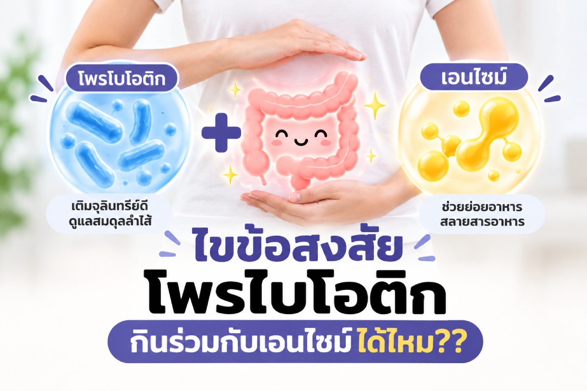 โพรไบโอติก กินร่วมกับเอนไซม์ได้ไหม